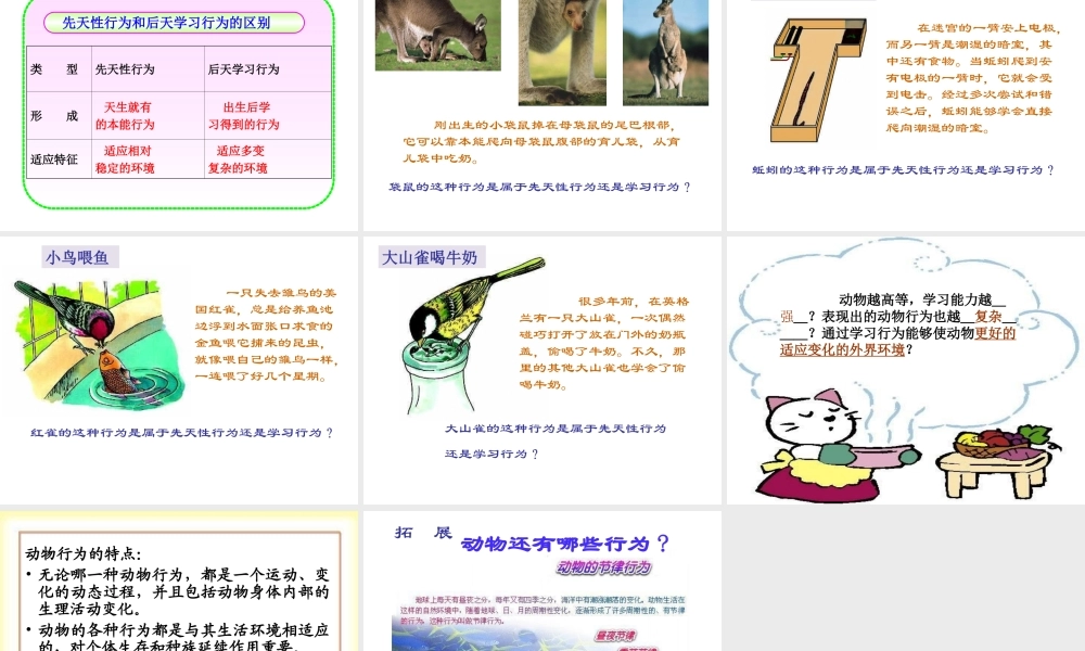 第二节动物的行为