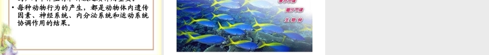 第二节动物的行为