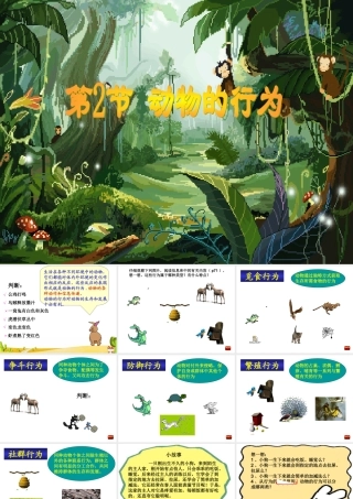 第二节动物的行为