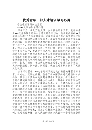 优秀青年干部人才培训学习心得