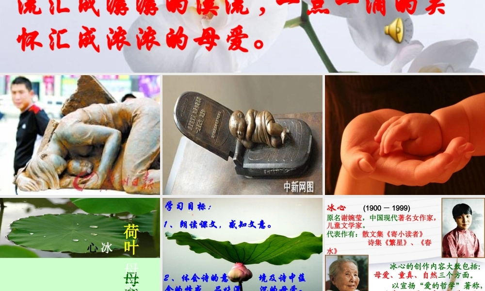 冰心荷叶母亲课件