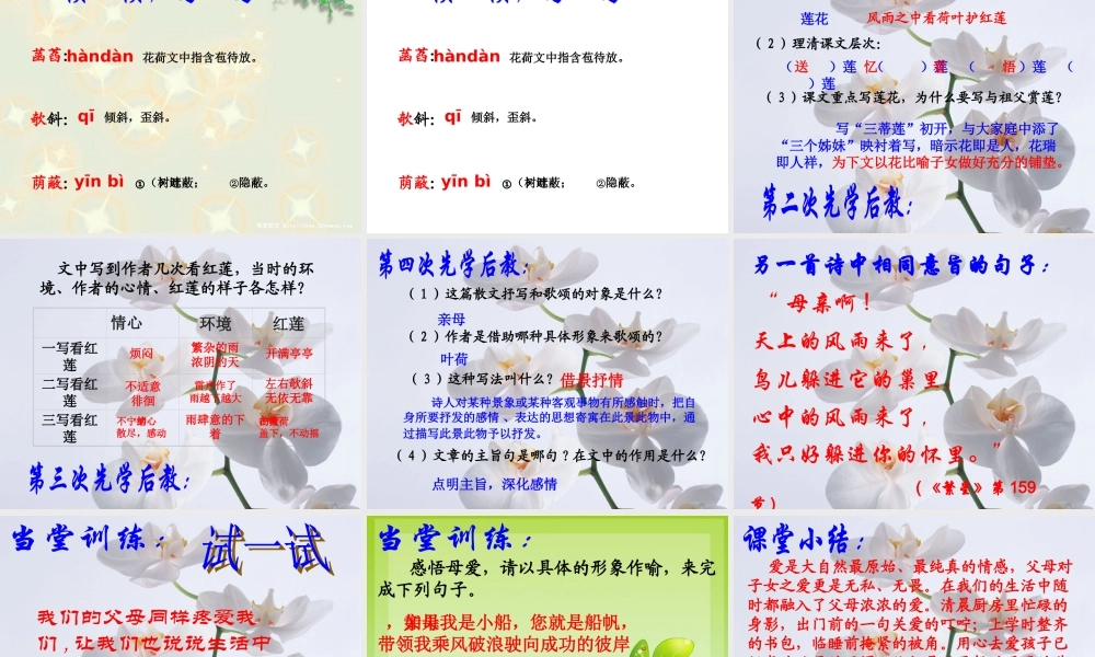 冰心荷叶母亲课件