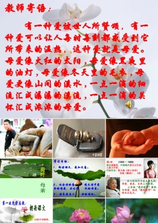 冰心荷叶母亲课件