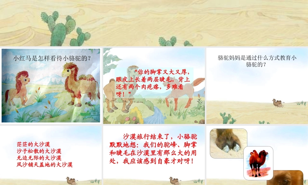 （精品）我应该感到自豪才对