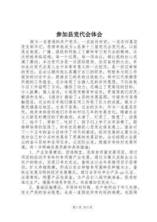 参加县党代会体会