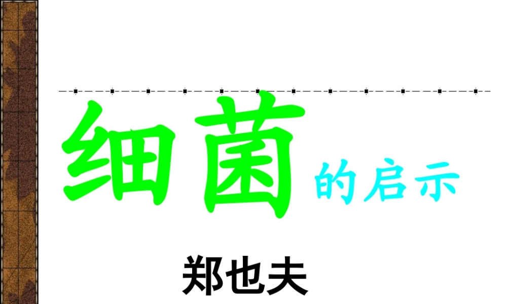 细菌的启示课件