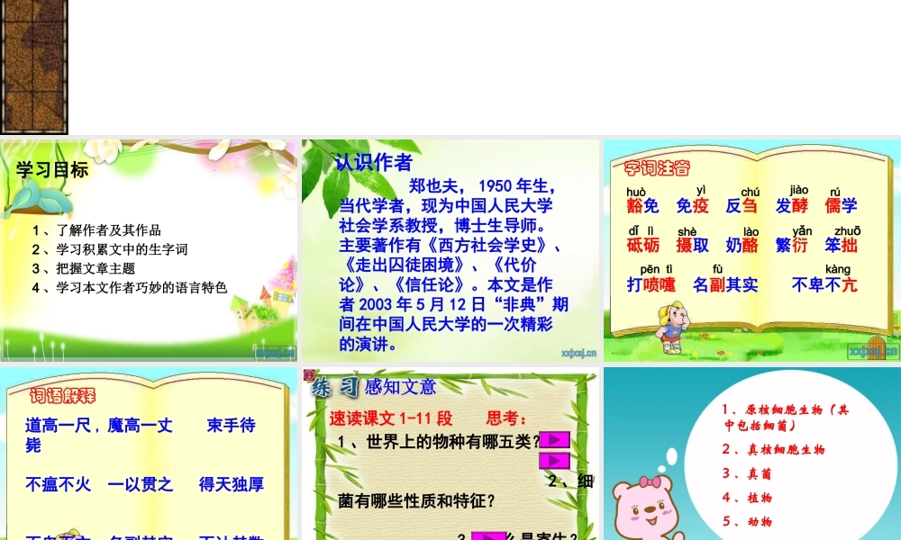 细菌的启示课件