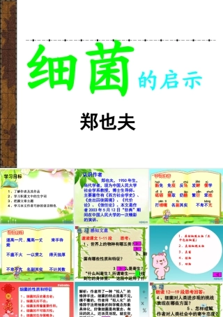 细菌的启示课件