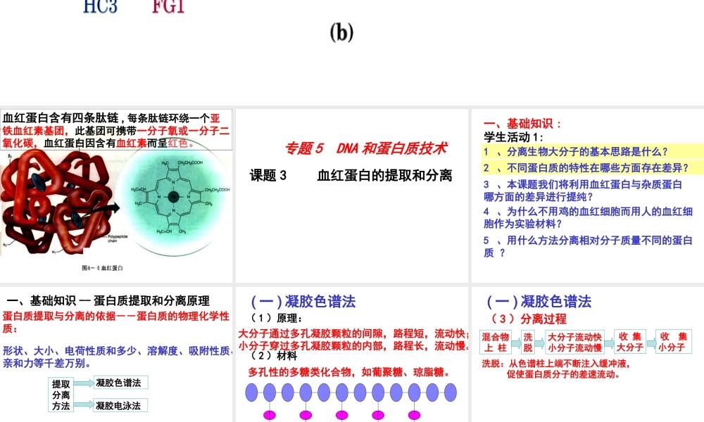 专题五血红蛋白的提取与分离