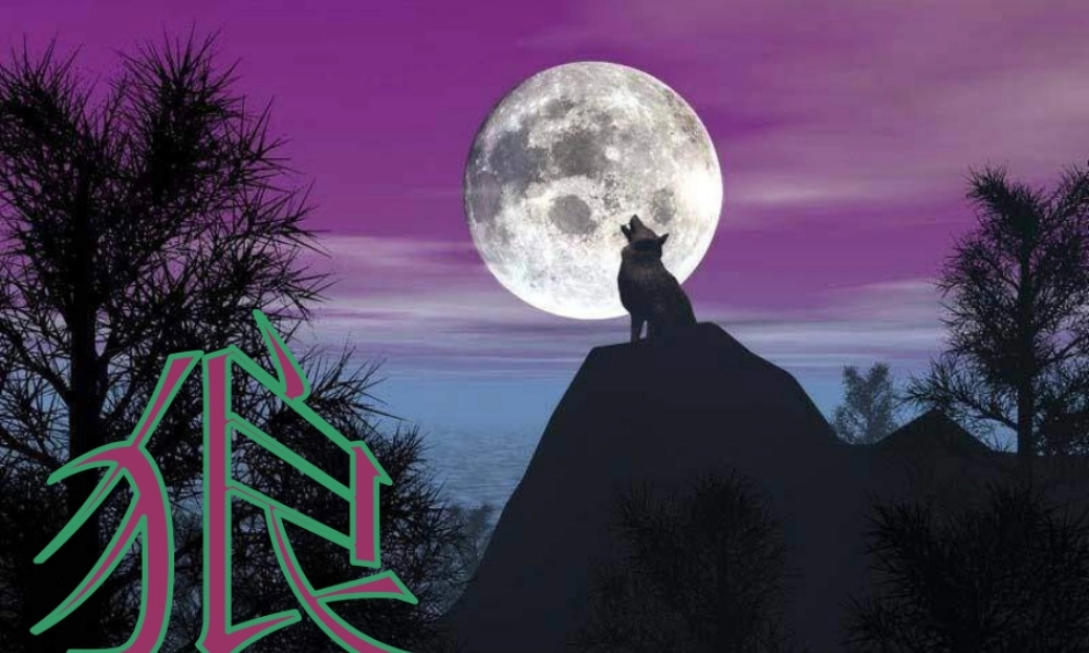 《狼》课件之二