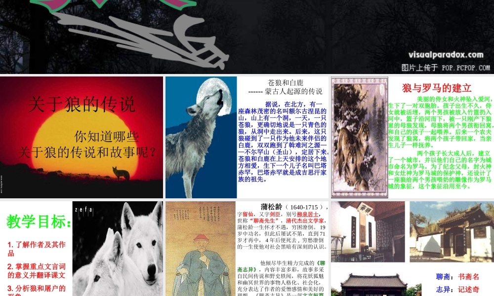 《狼》课件之二