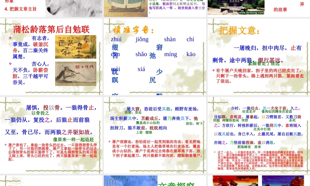 《狼》课件之二