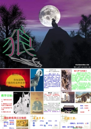《狼》课件之二