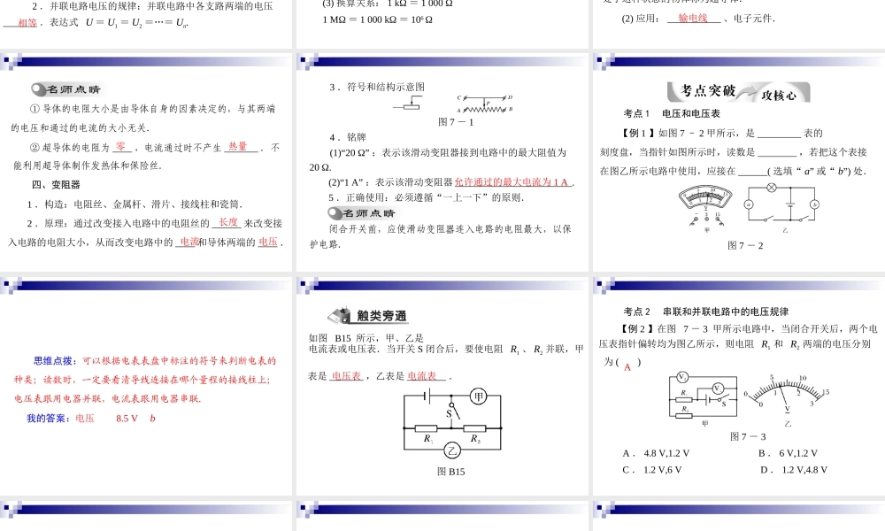 中考物理总复习-电压和电阻