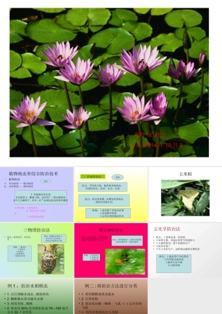 综合防治课件