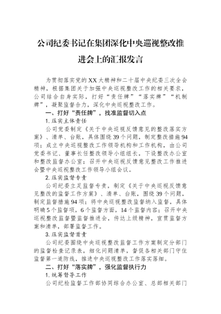 公司纪委书记在集团深化中央巡视整改推进会上的汇报发言