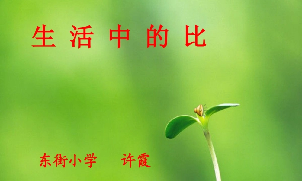 第四单元生活中的比（完整）