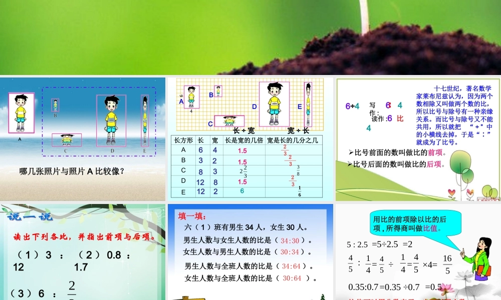 第四单元生活中的比（完整）