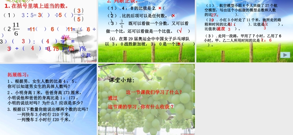 第四单元生活中的比（完整）