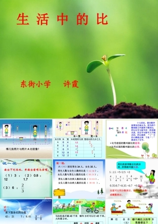 第四单元生活中的比（完整）