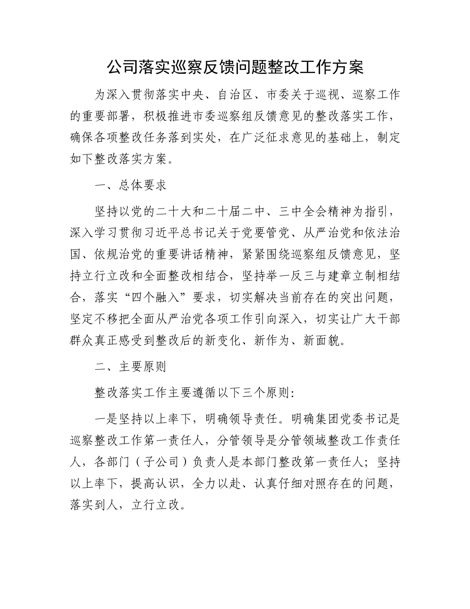 公司落实巡察反馈问题整改工作方案_第1页