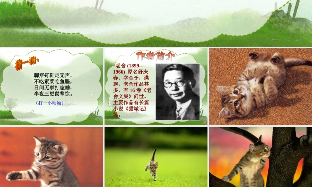 (人教版)四年级语文课件_猫教用