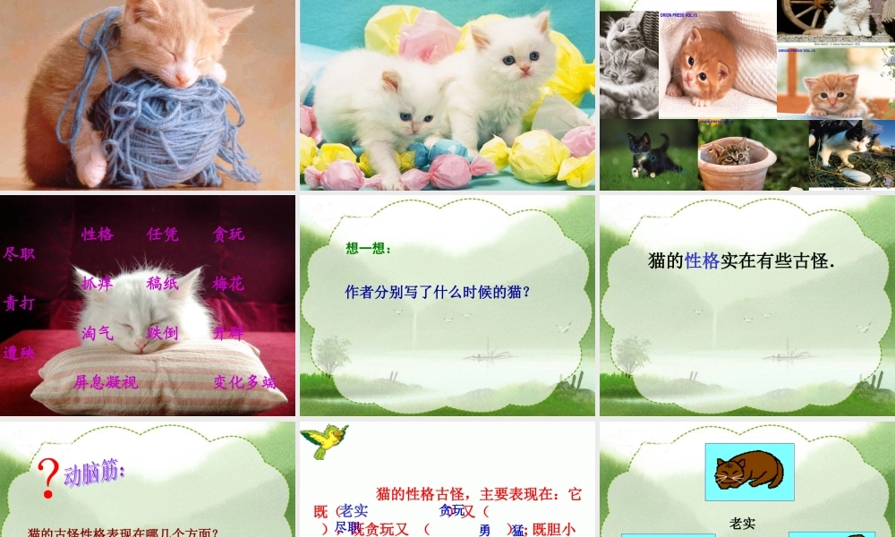 (人教版)四年级语文课件_猫教用