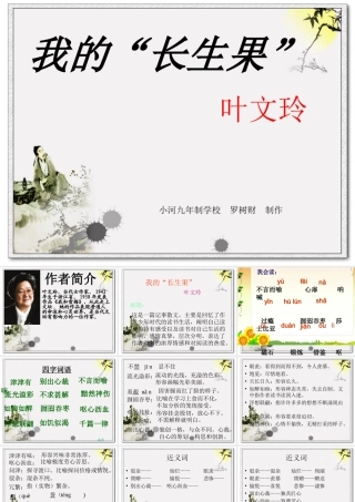 我的长生果_小河罗树财