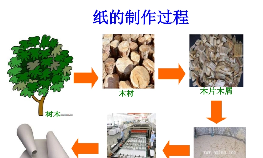 北师大版品德与生活二下《纸从哪里来》