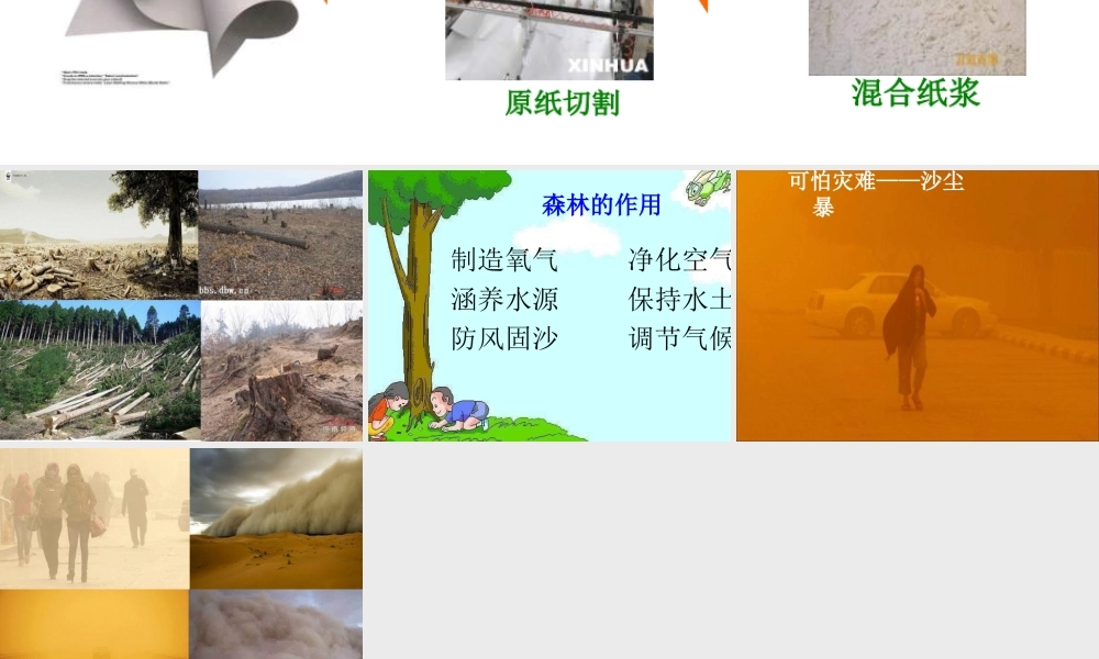 北师大版品德与生活二下《纸从哪里来》