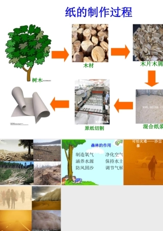 北师大版品德与生活二下《纸从哪里来》