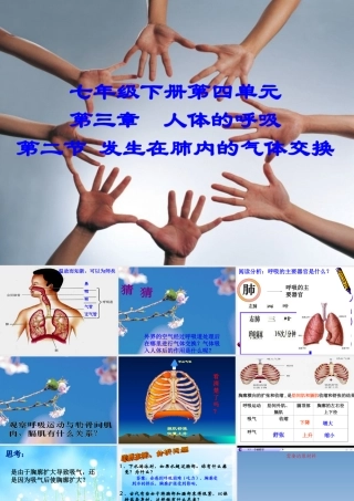 （精品）发生在肺内的气体交换