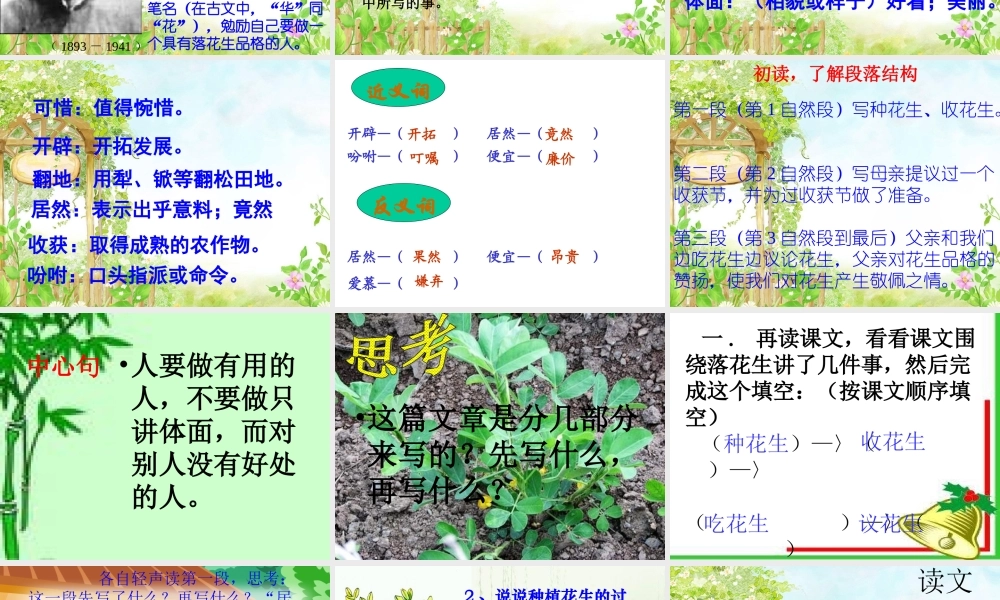 落花生(完美版)