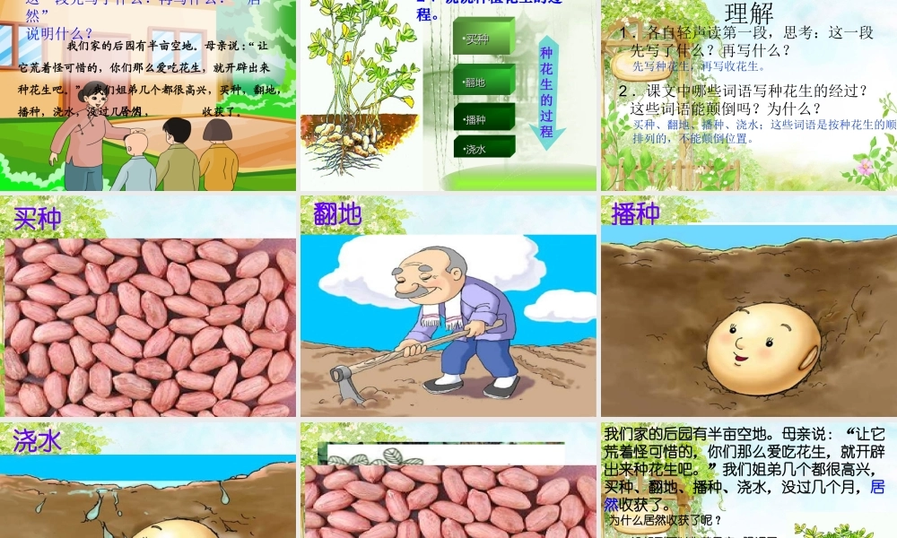 落花生(完美版)