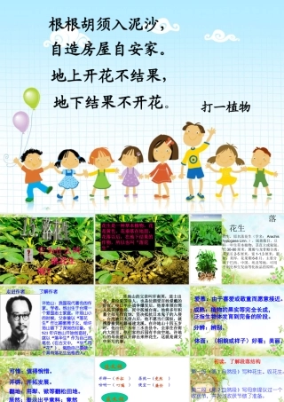 落花生(完美版)