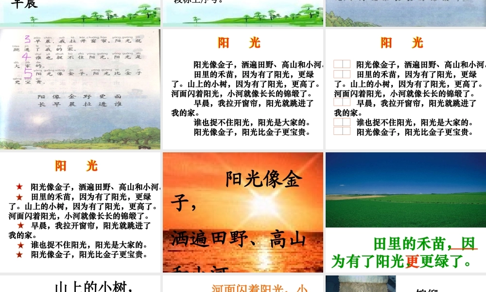 第一册语文《阳光》教学课件