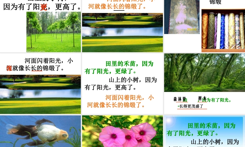 第一册语文《阳光》教学课件