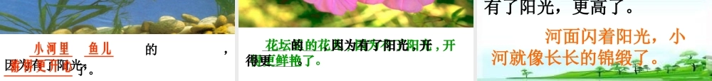 第一册语文《阳光》教学课件