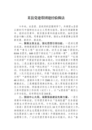 某县党建带团建经验做法