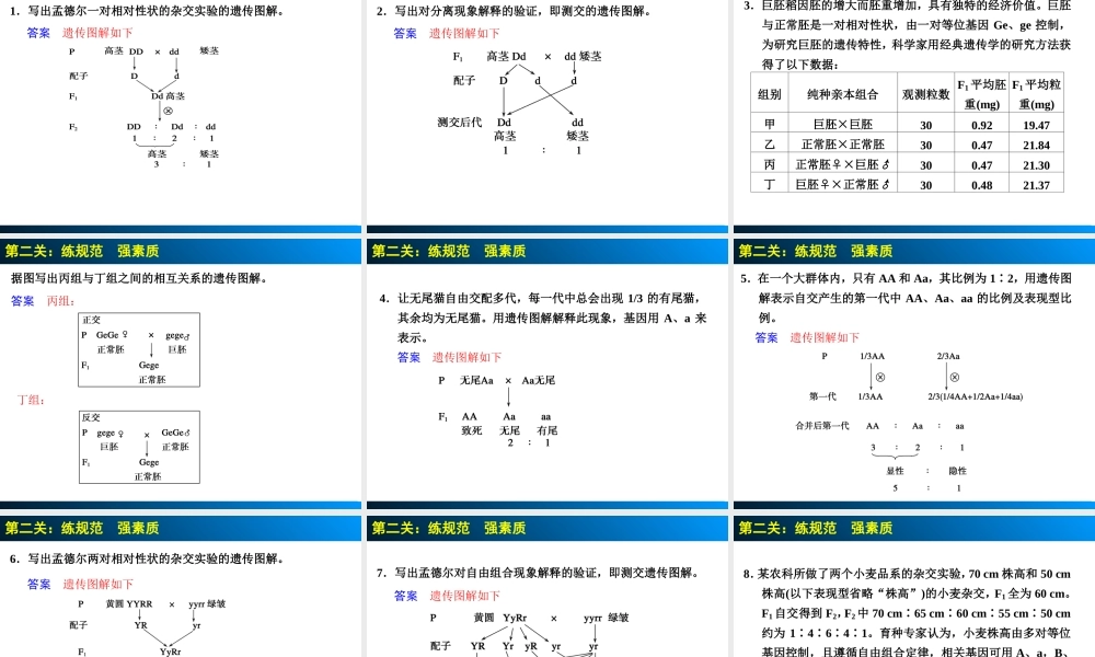 单元排查过三关(四)