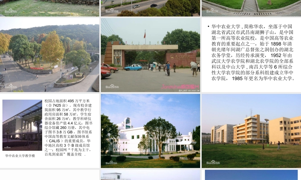 大学介绍三MicrosoftPowerPoint演示文稿