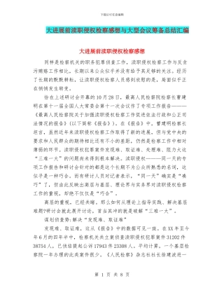 大发展前渎职侵权检察感想与大型会议筹备总结汇编