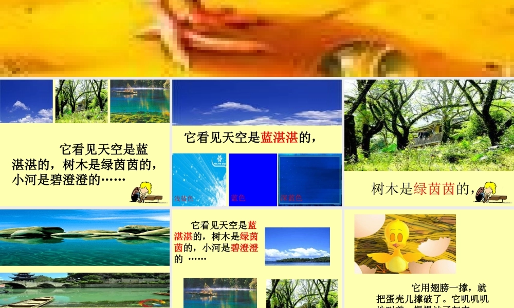 《世界多美呀》