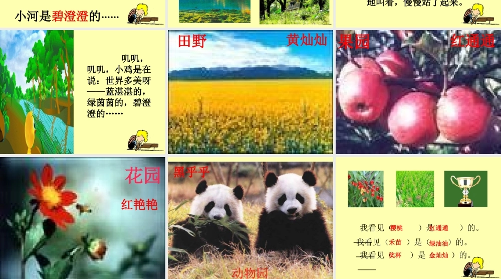 《世界多美呀》