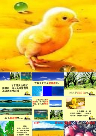 《世界多美呀》