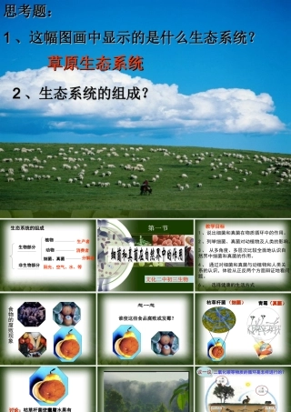 细菌和真菌在自然界中的作用课件