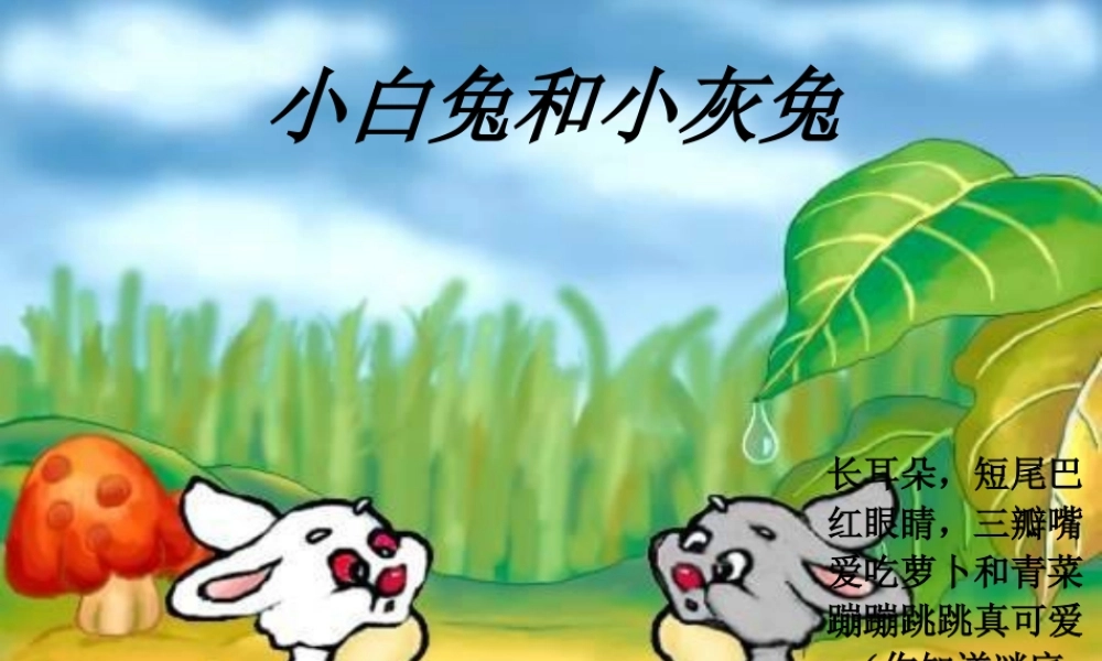 小学一年级下册《小白兔和小灰兔》