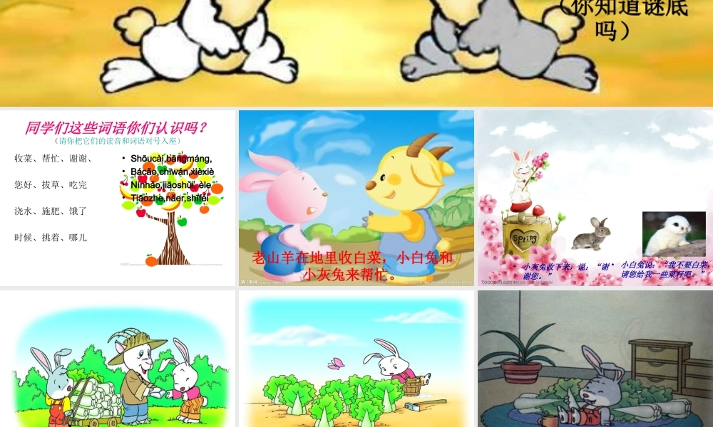 小学一年级下册《小白兔和小灰兔》