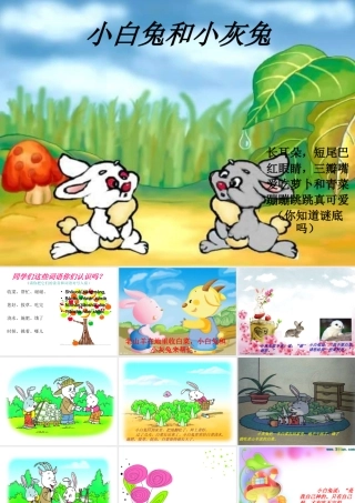 小学一年级下册《小白兔和小灰兔》