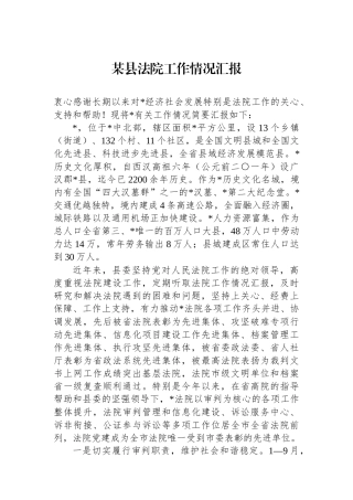 某县法院工作情况汇报